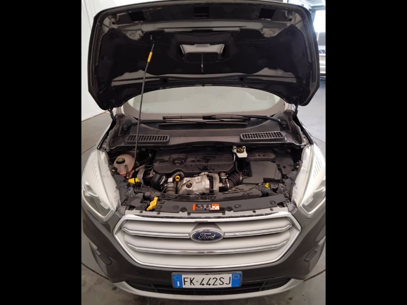 GuidiCar - FORD Kuga II 2017 2017 Kuga 1.5 tdci Titanium s&s 2wd 120cv Usato