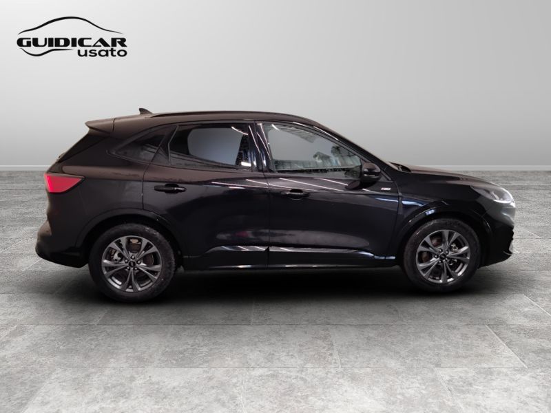 GuidiCar - FORD Kuga 2024 Kuga 2.0 ecoblue ST-Line 2wd 120cv auto Usato